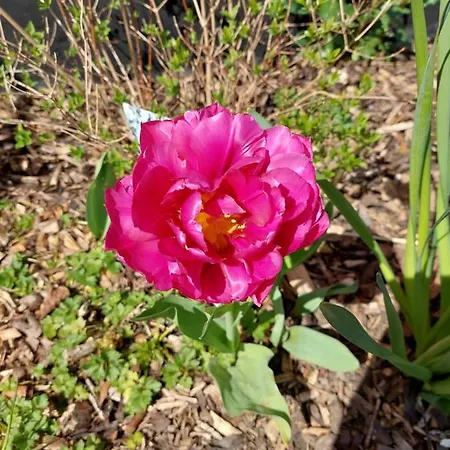 海滨酒店 布雷格